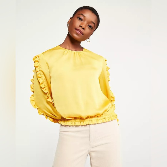 NWT Ann Taylor Ruffle Sleeve Cinched Hem Top - Picture 2 of 11
